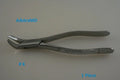 Dental Forcep #6