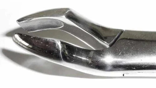Dental Forcep #10S