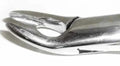 Dental Forcep #150A