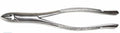 Dental Forcep #1